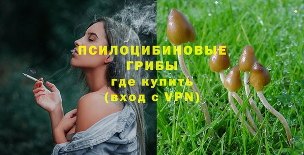 дмт Верхний Тагил