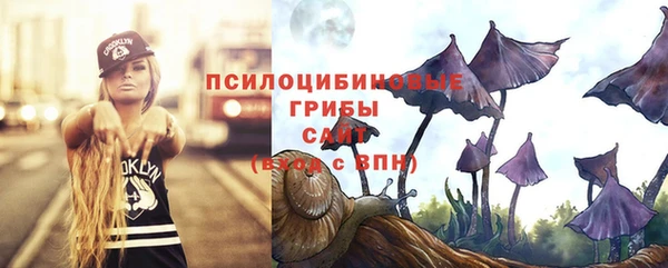 дмт Верхний Тагил