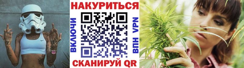 где купить наркоту  Копейск  Марихуана сатива 